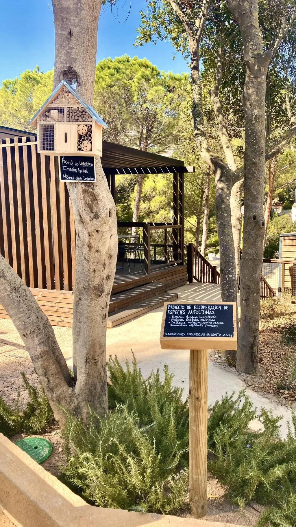 General view, Talaia Plaza EcoResort, Costa Brava