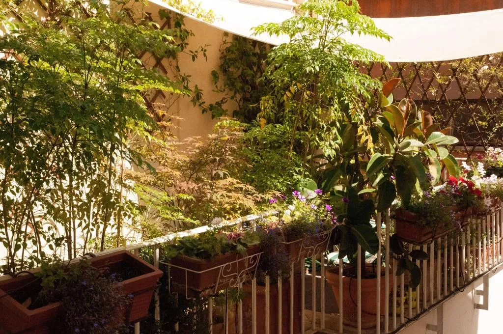 Terrace, Relais Teatro Argentina, Rome