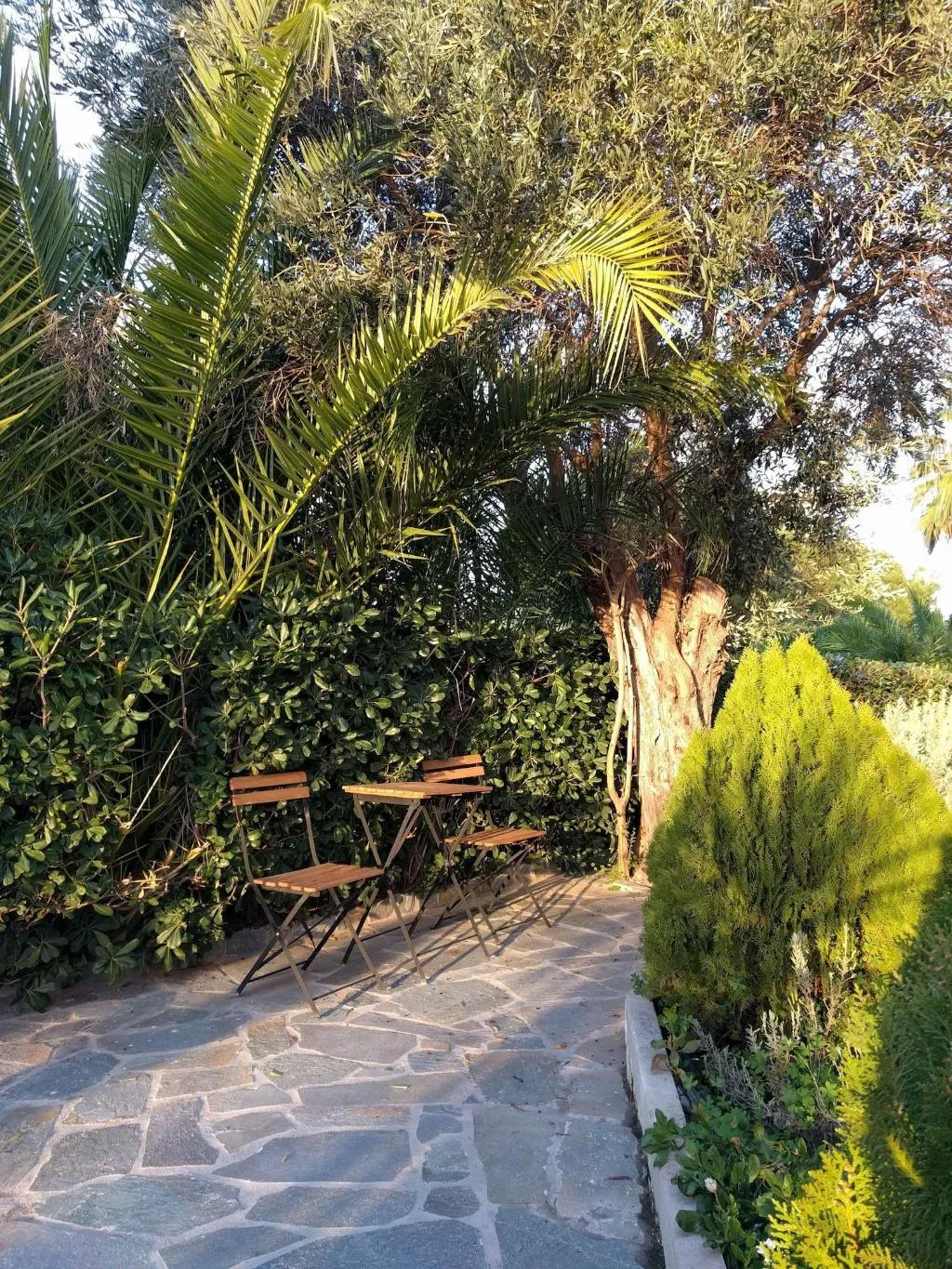 General view, Minavra Hotel, Athens