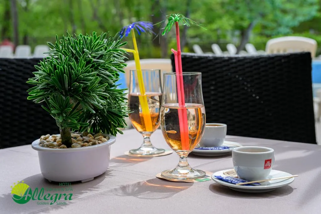 Restaurant, Allegra Balneo & Spa, Varna