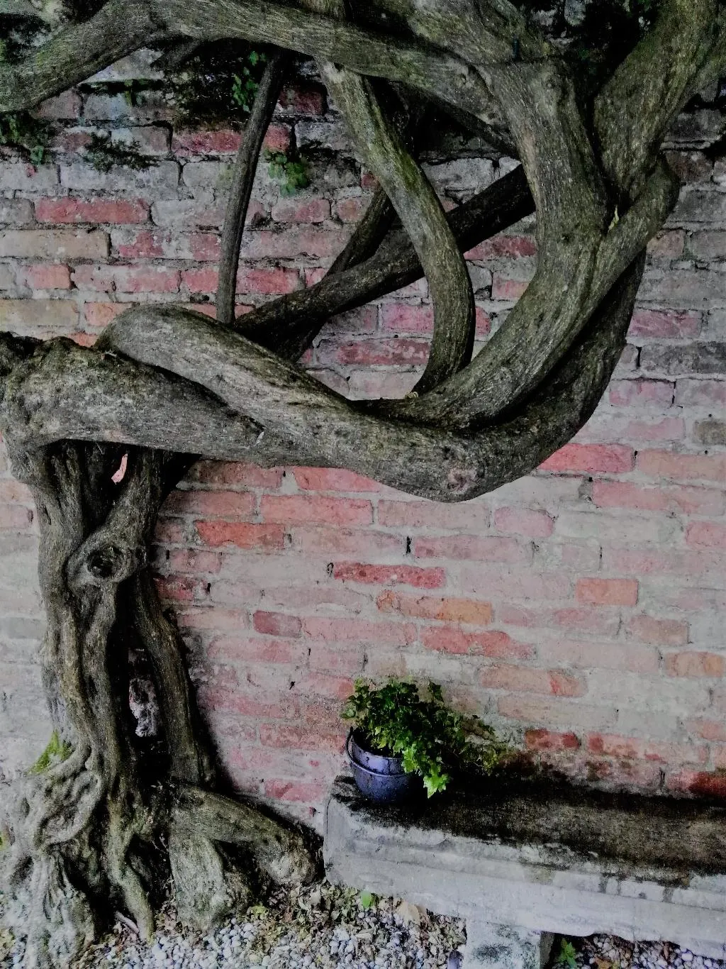 Terrace, Relais Alcova del Doge, Venice
