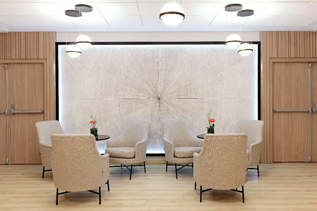 Conferences, Melia Avenida America, Madrid