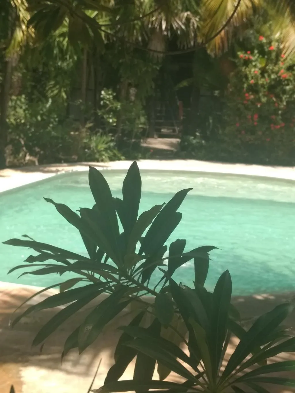 Pool, Green Tulum Cabañas & Gardens, Cancun Area