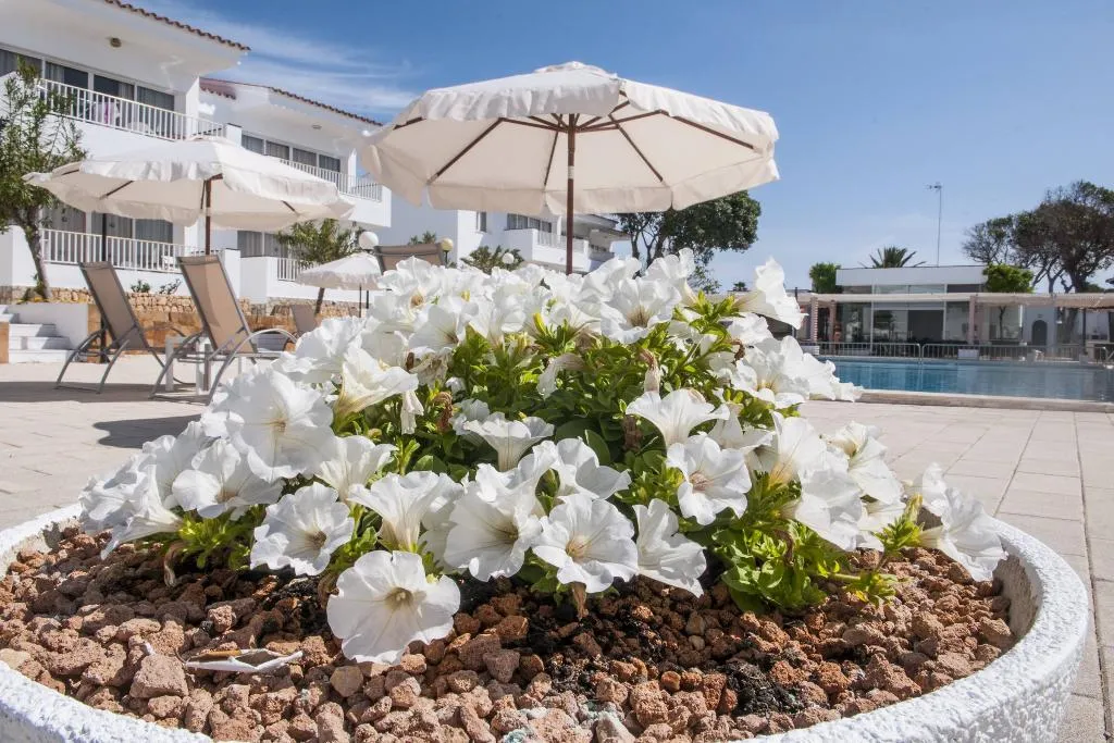 General view, Naranjos Resort Menorca, Menorca