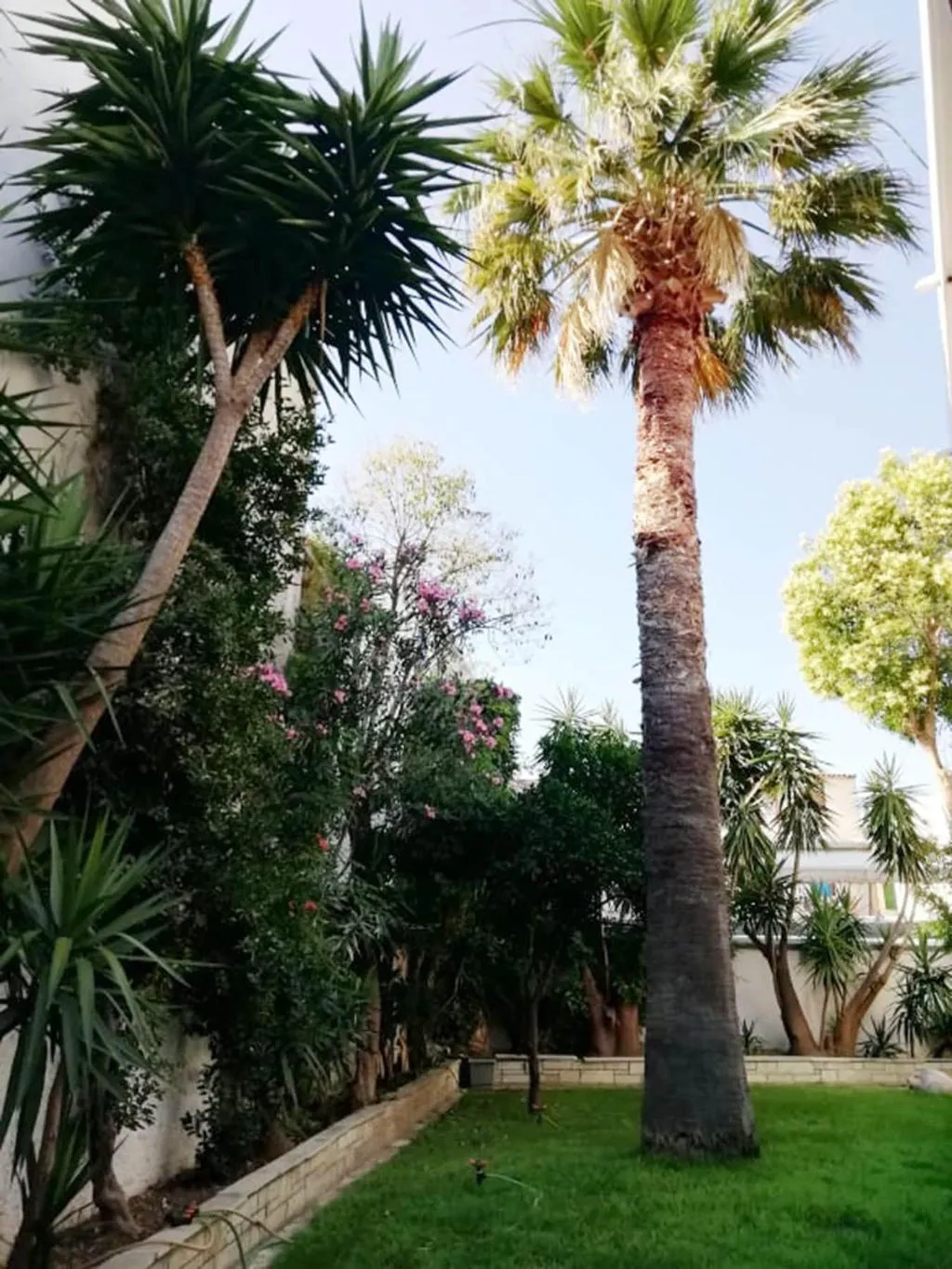 General view, Pothos Hotel, Skiathos