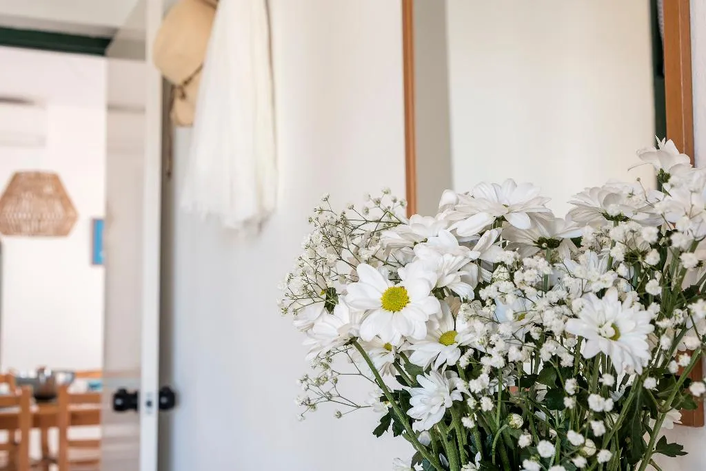 APARTMENT ONE BEDROOM WITH AIR CONDITIONING Room, Las Brisas I & II, Menorca