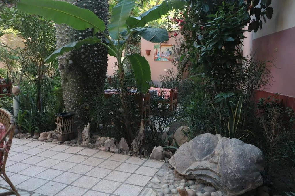 General view, Amon Hotel, Luxor