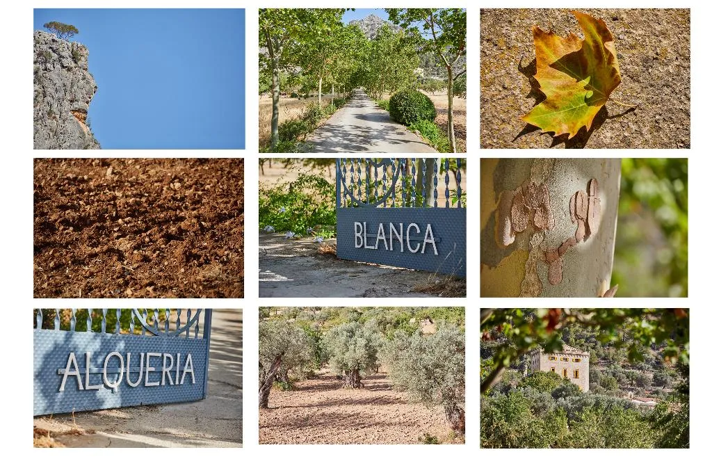 General view, Agroturismo Alquería Blanca, Majorca