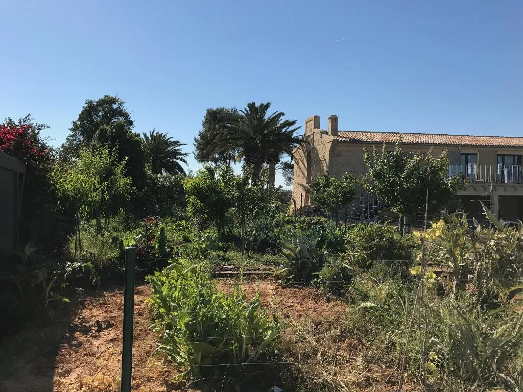 General view, Masia El Teular, Valencia