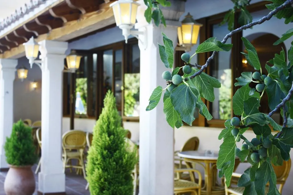 Terrace, Gaya, Majorca