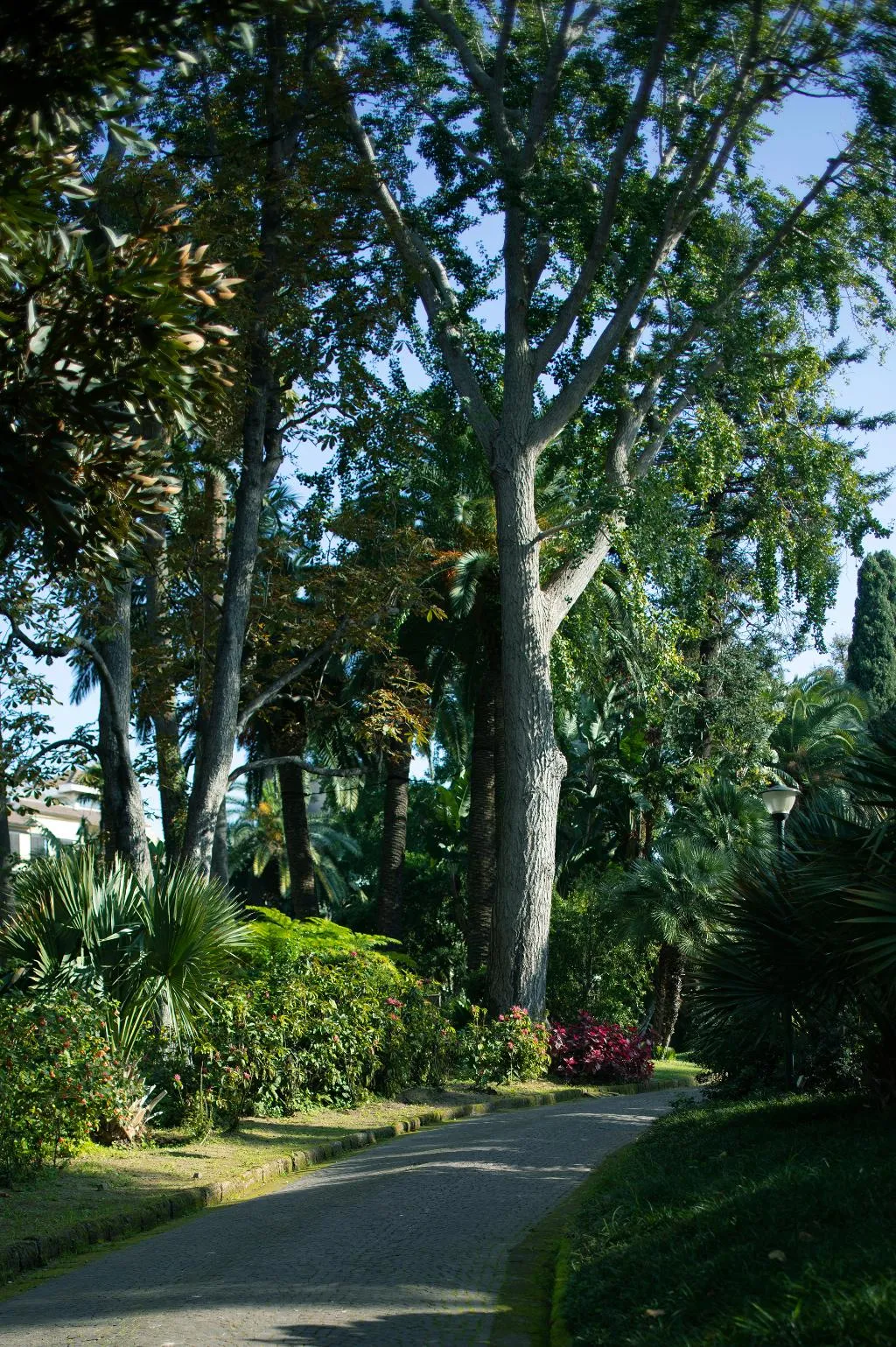 General view, Parco Dei Principi, Naples