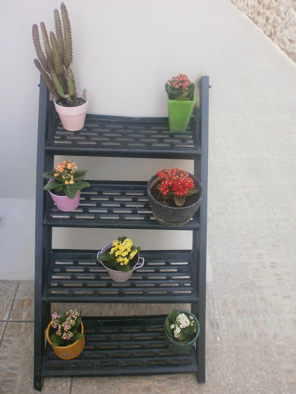 Terrace, Antigoni, Crete