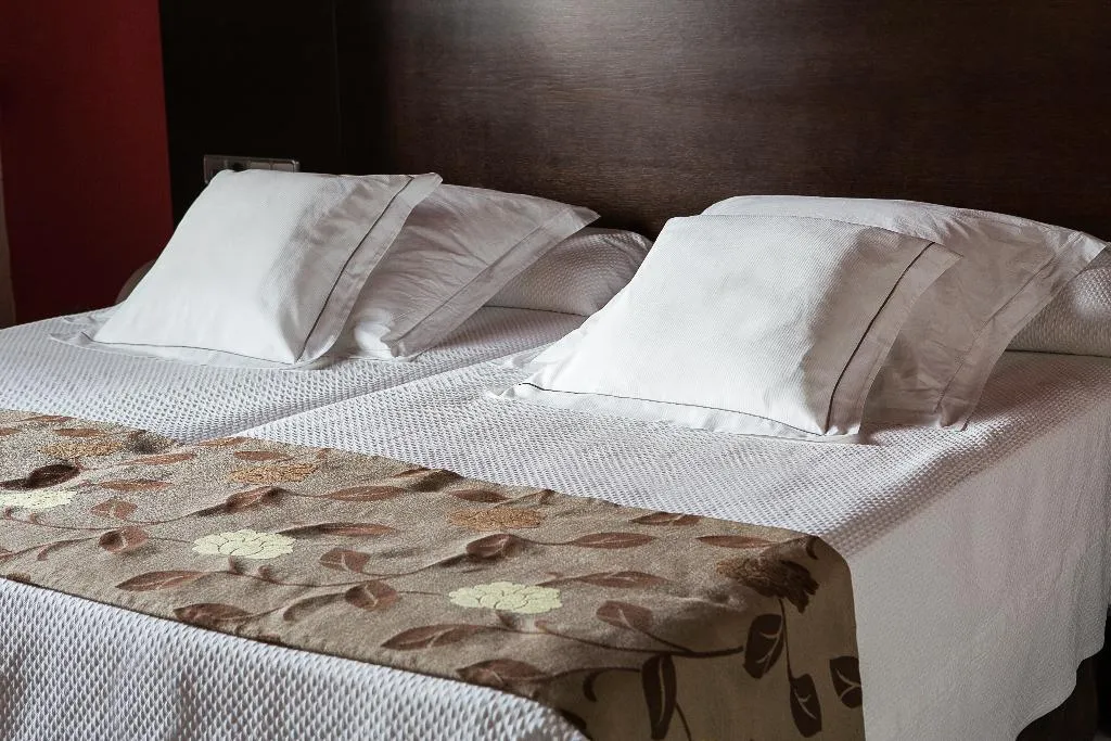 TWIN PREMIUM Room, Pintor el Greco, Madrid