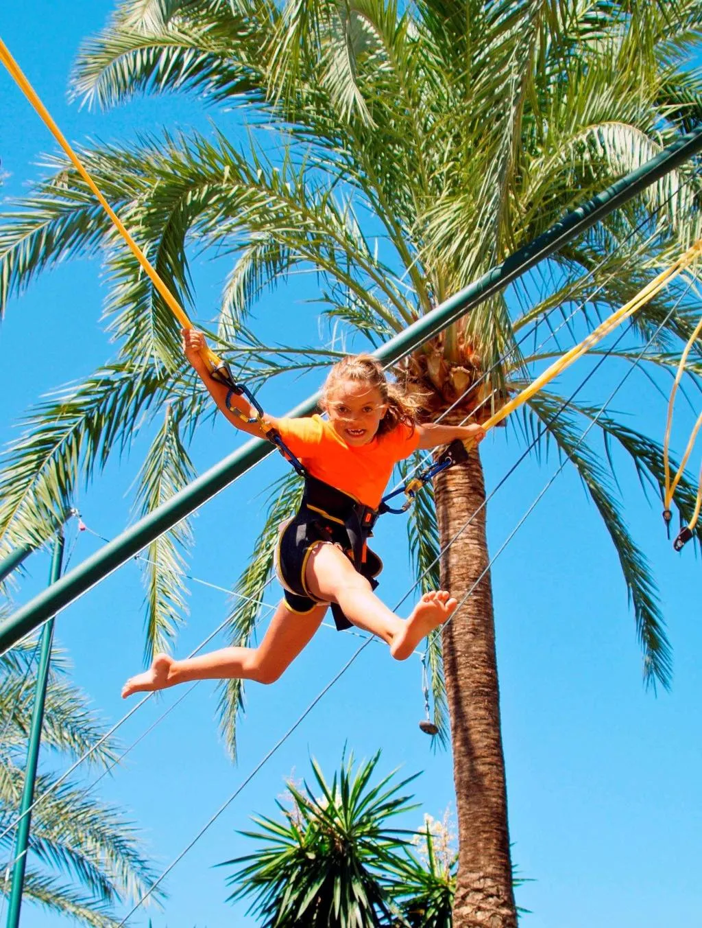 Sports and Entertainment, Sol Arona Tenerife, Tenerife