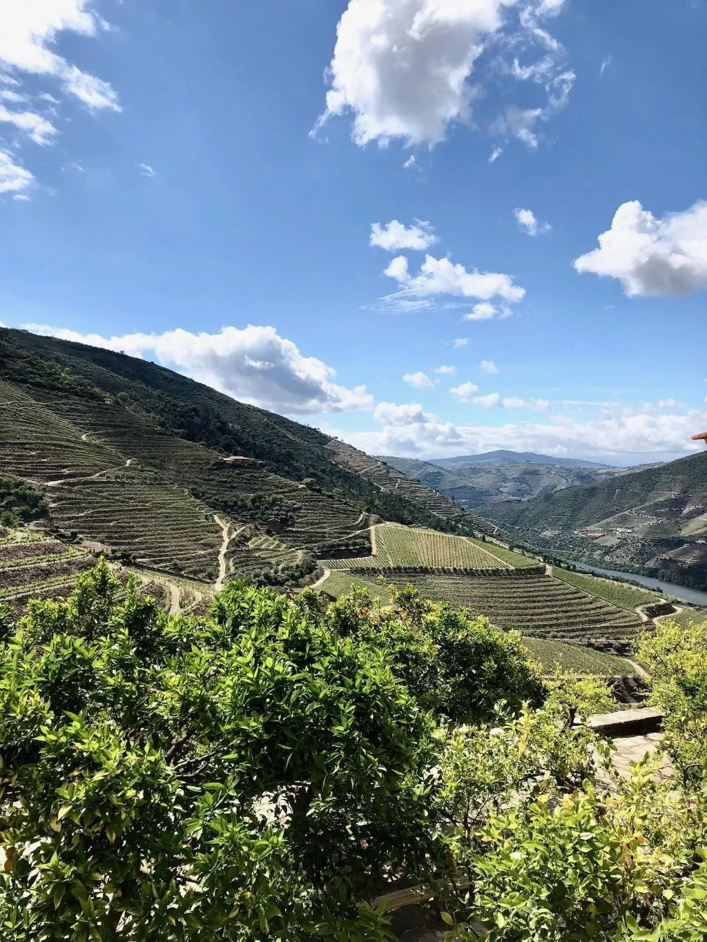 General view, Quinta Da Gricha, Porto