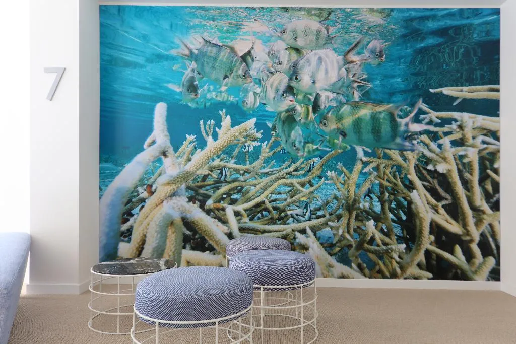Lobby, Iberostar Waves Bahía de Palma, Majorca