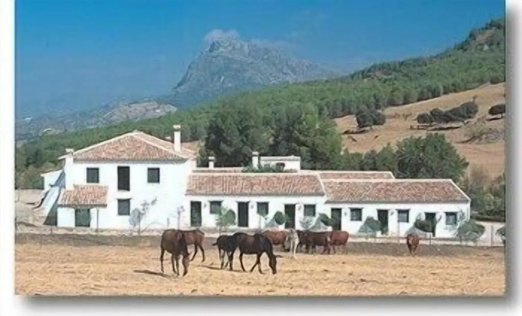 General view, El Horcajo, Costa Del Sol