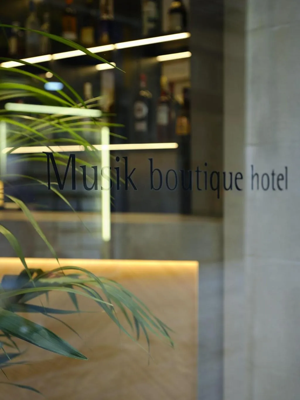 General view, Musik Boutique, Barcelona