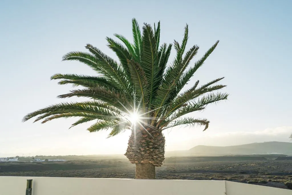 General view, Aequora Lanzarote, Lanzarote