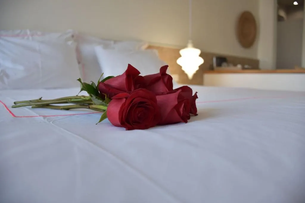 Room, Arota Exclusive Villas, Santorini