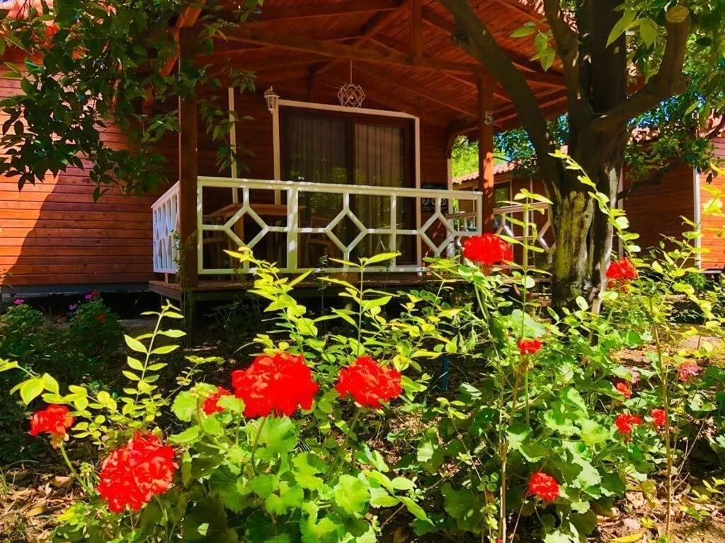 Room, Village Garden Pansiyon, Antalya
