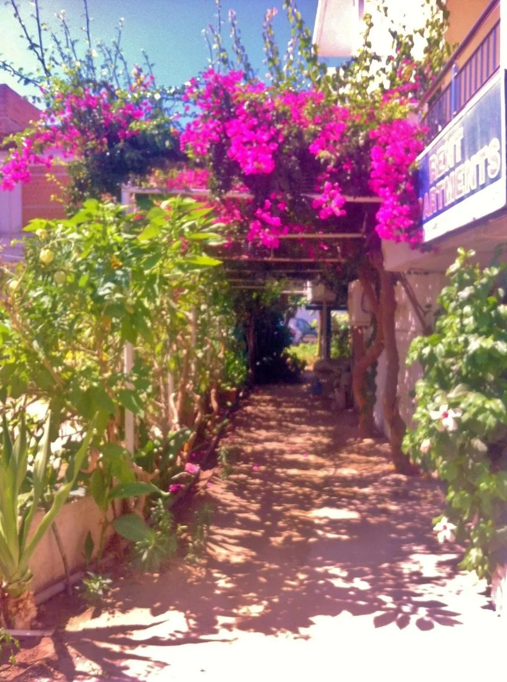 General view, Apollonia Apartments, Crete