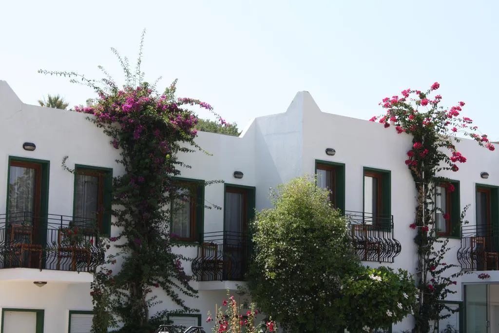 General view, Bronze, Bodrum