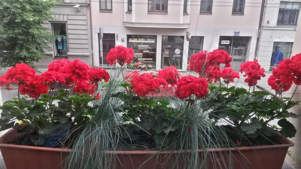General view, A1 Hotel, Riga