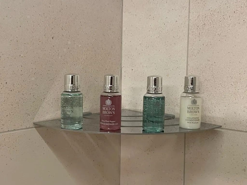 DOUBLE CLASSIC Room, La Barchessa di Villa Pisani, Venice