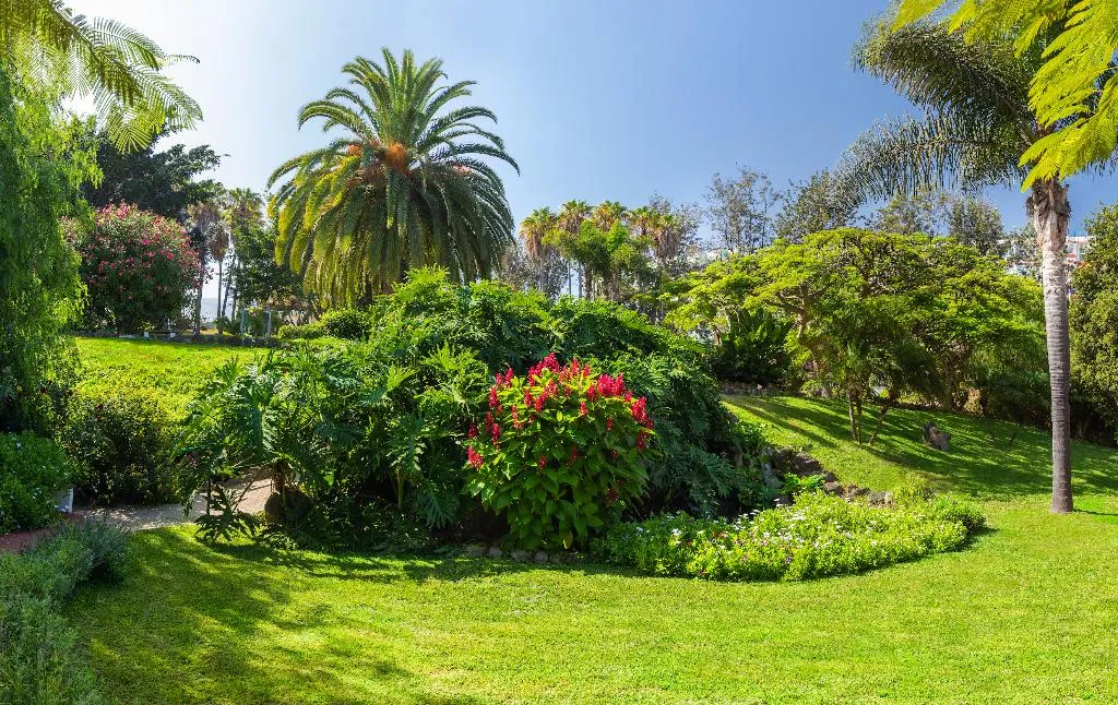Terrace, Parque Vacacional Eden, Tenerife