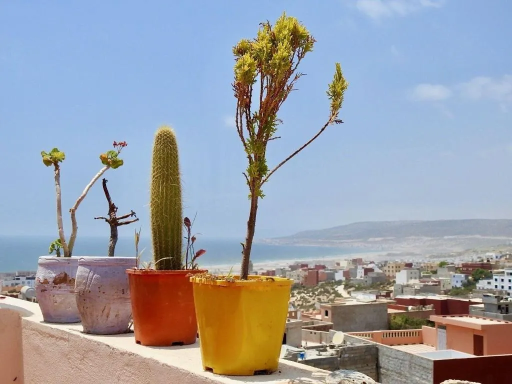 General view, Offshore Surf House Morocco, Agadir