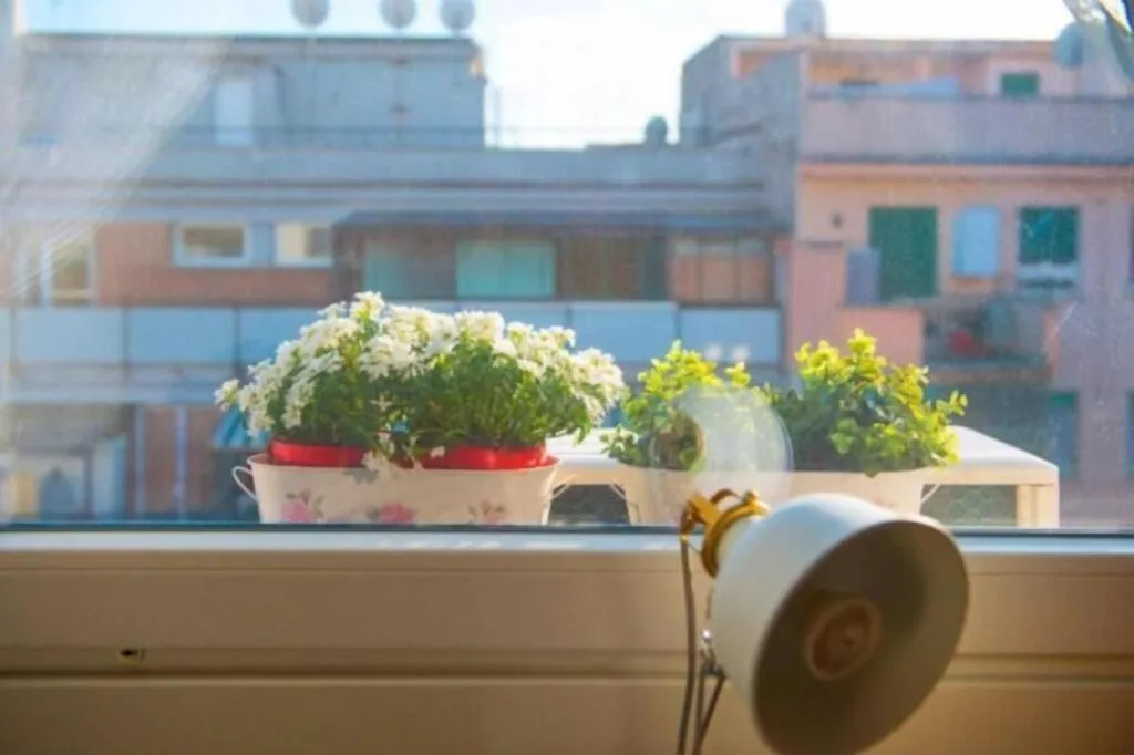 General view, Letto E Latte, Naples