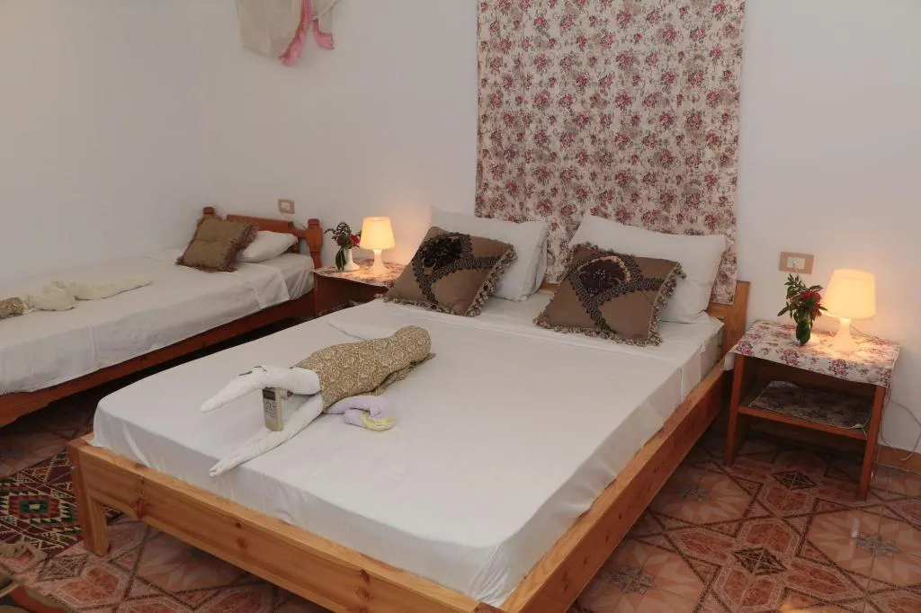 Room, Amon Hotel, Luxor
