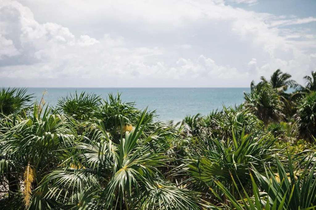General view, Gramercy Tulum, Cancun Area