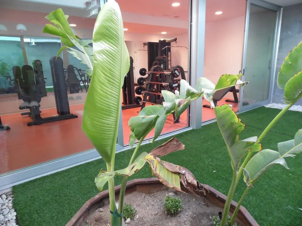 Sports and Entertainment, Nayra - Adults Only, Gran Canaria