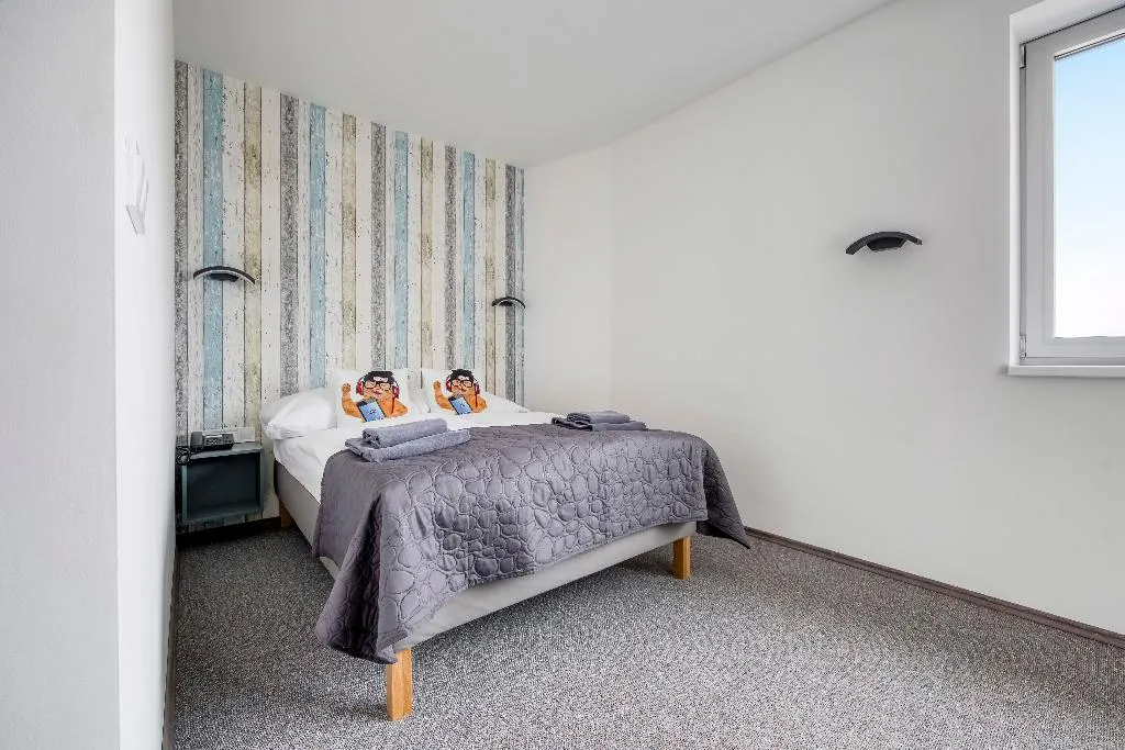 DOUBLE SUPERIOR Room, Hotel Villa Wagner, Prague