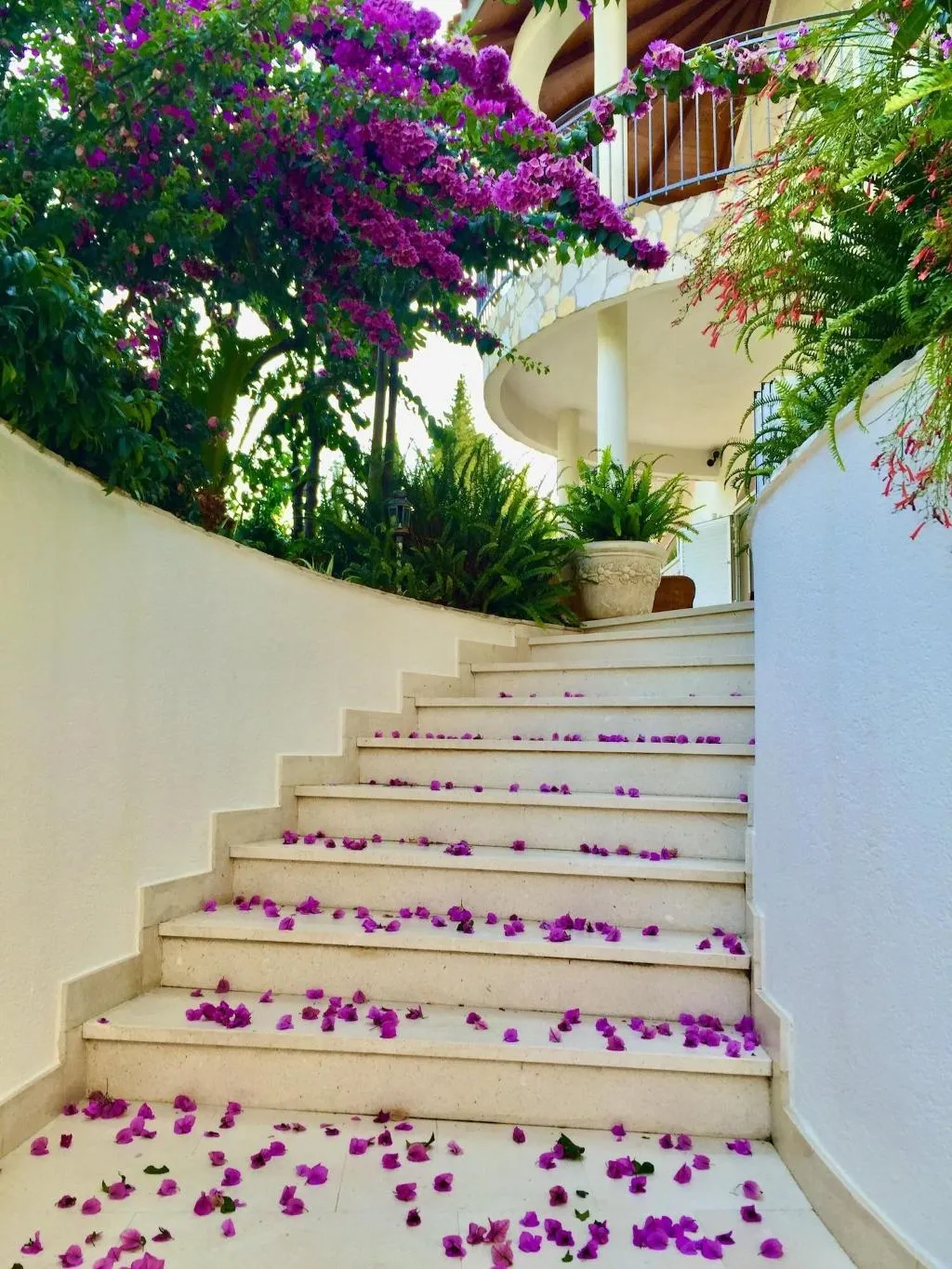 General view, Villa Almadria Luxury Bed & Breakfast Adults Only, Dubrovnik