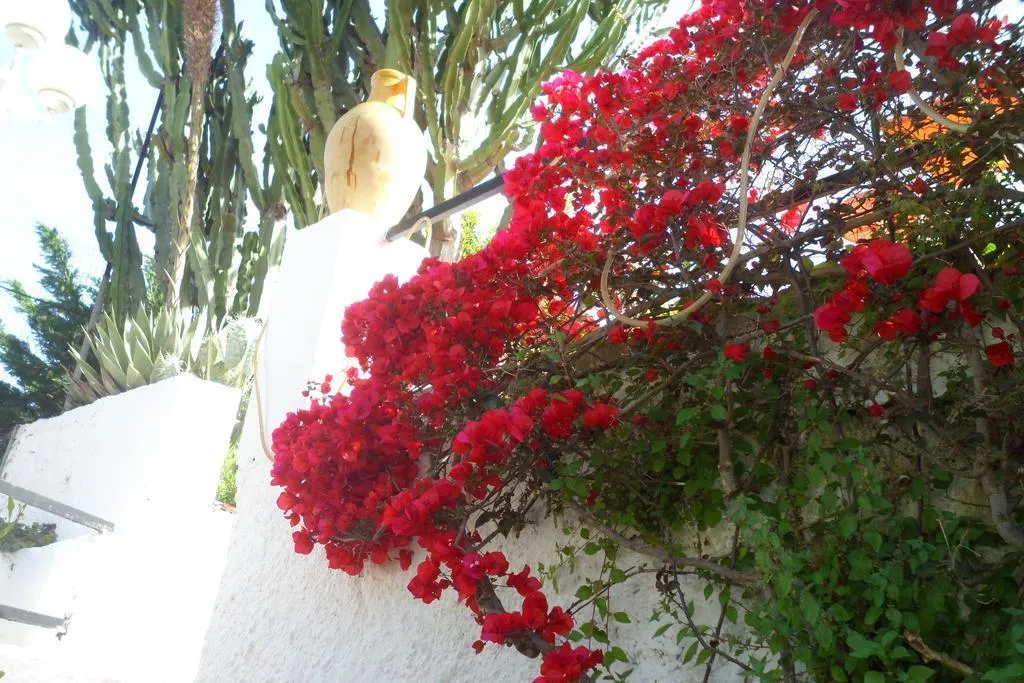 Terrace, Hotel Park Calitto, Naples