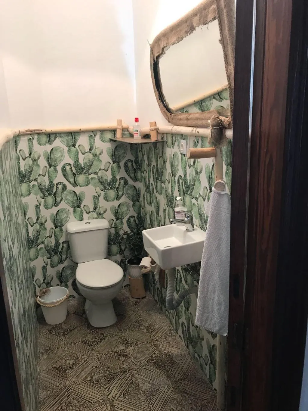 Room, Cactus Host, Gran Canaria