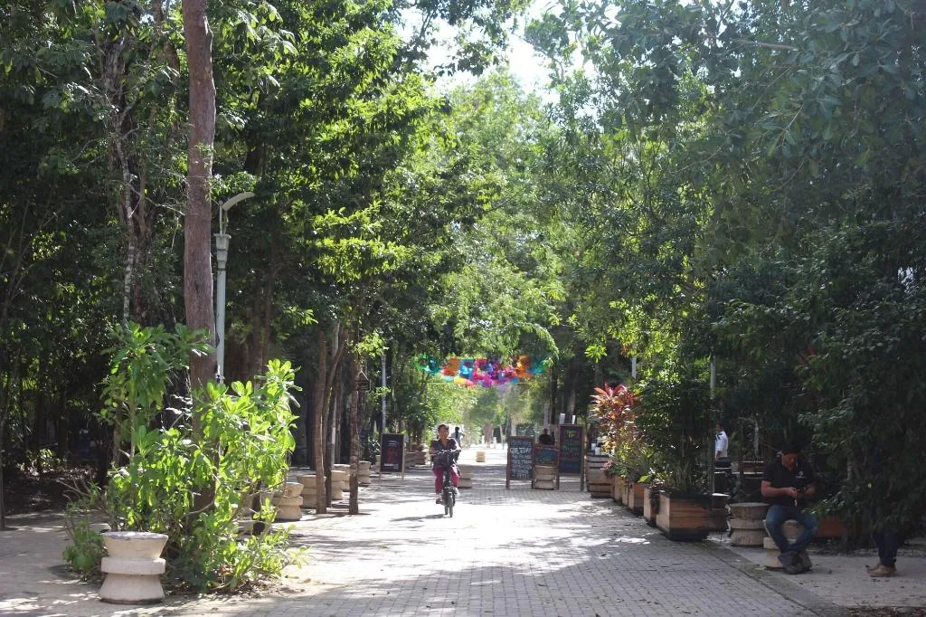 General view, Calea Tulum, Cancun Area