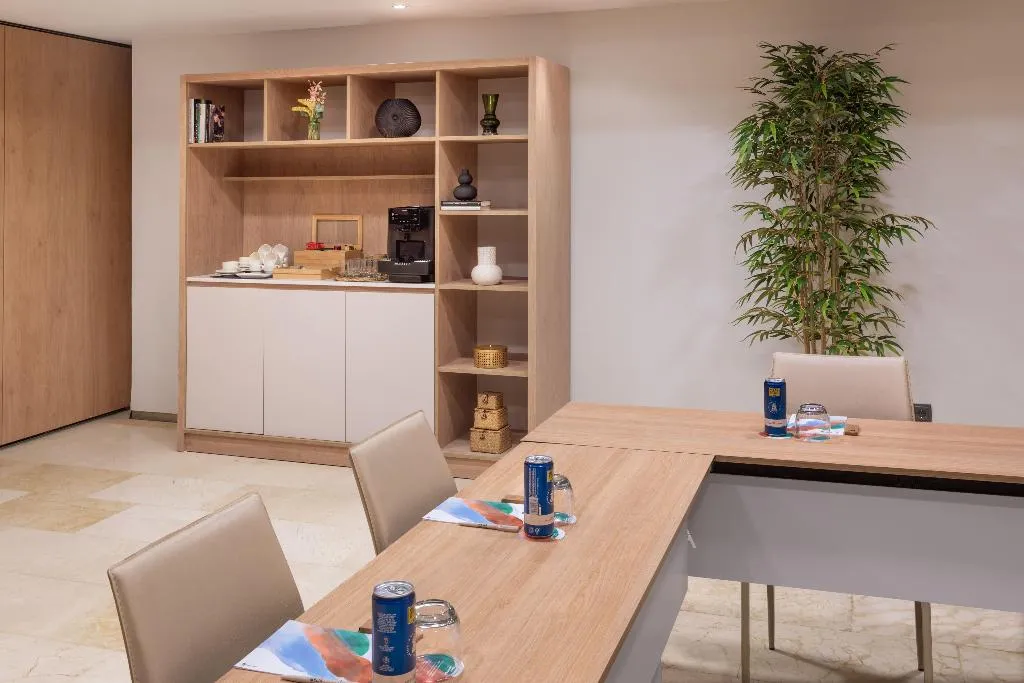 Conferences, Melia Sevilla, Seville