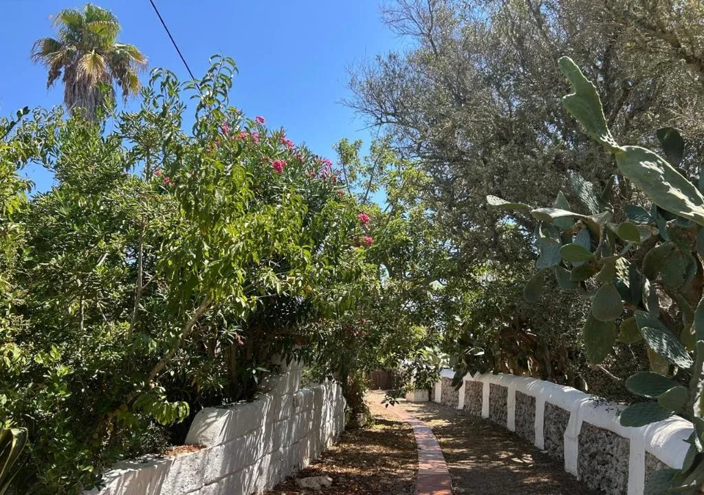General view, Matchani Gran, Menorca