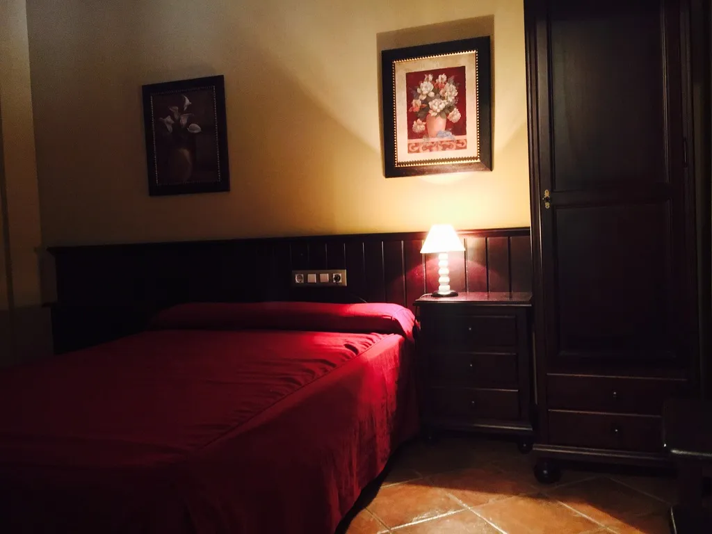 SINGLE STANDARD Room, Pechi Hostal, Seville