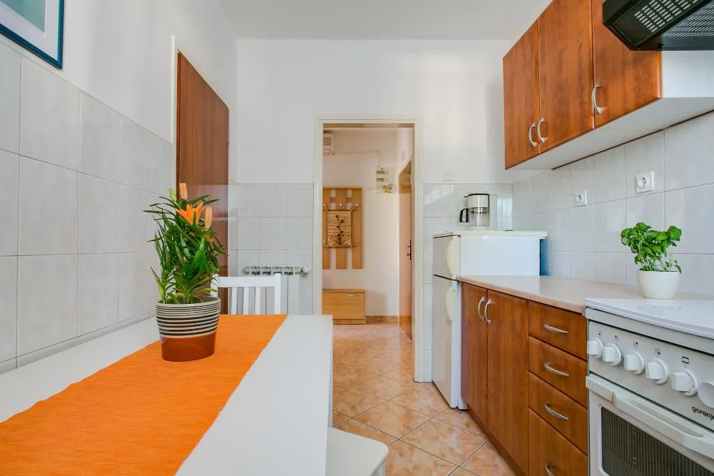 APARTMENT CAPACITY 5 Room, Apartments Petar, Istria