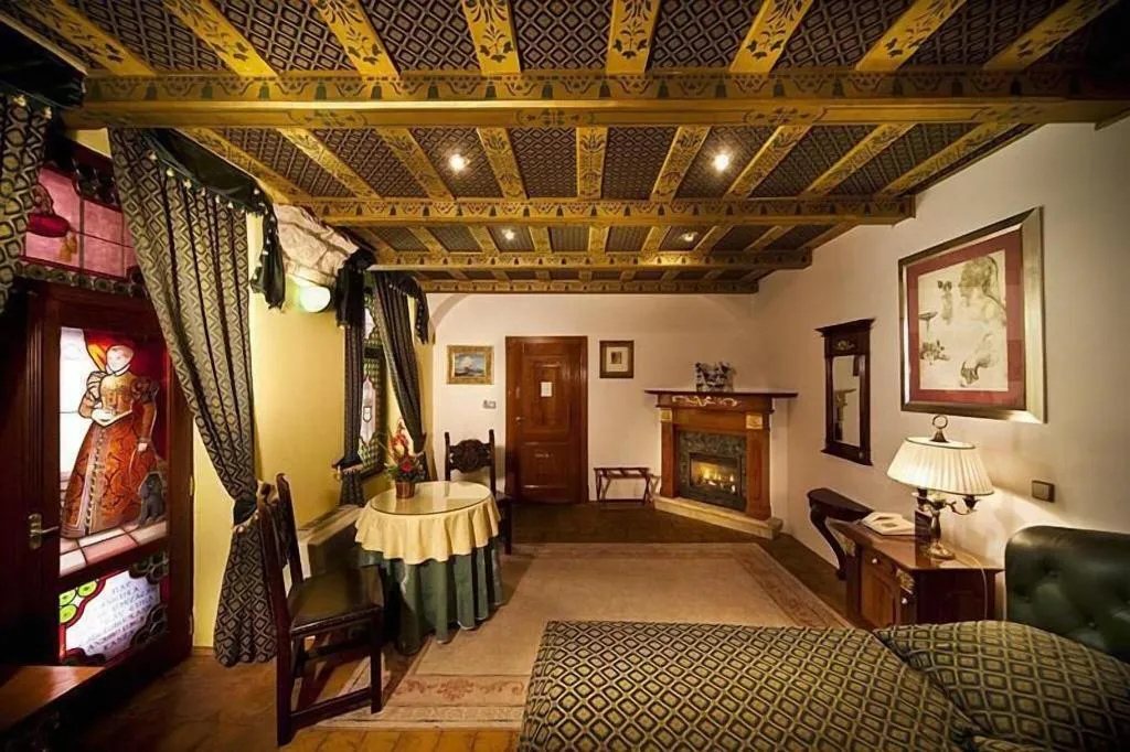 Room, U Pava, Prague