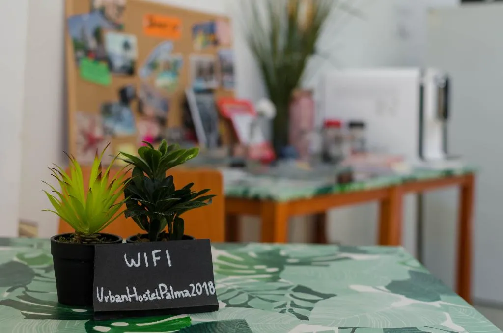 Sports and Entertainment, Urban Hostel Palma - Albergue Juvenil, Majorca