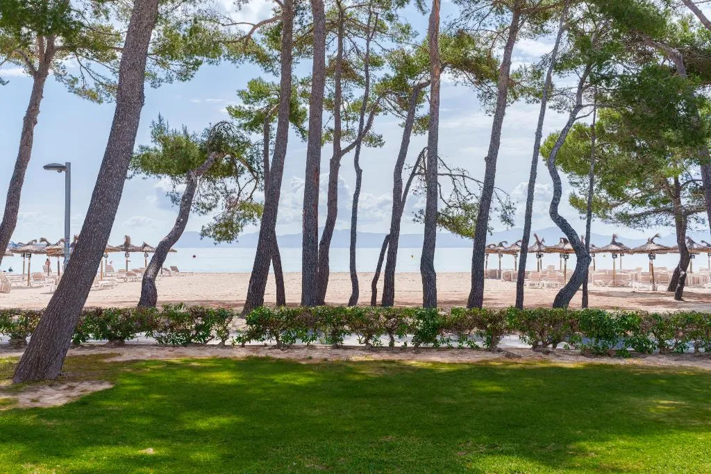 Beach, Caprice Playa de Alcudia Apartments, Majorca