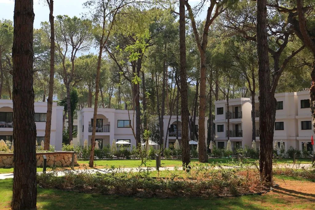 General view, Siu Collection, Antalya