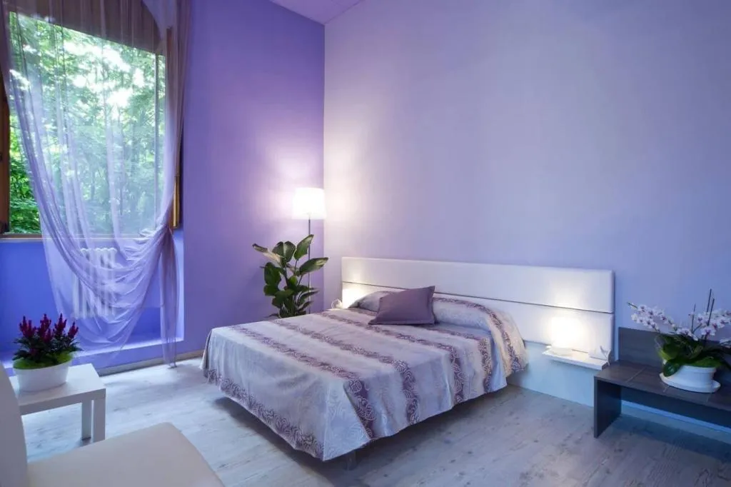 DOUBLE COMFORT Room, Palazzo Renieri, Florence