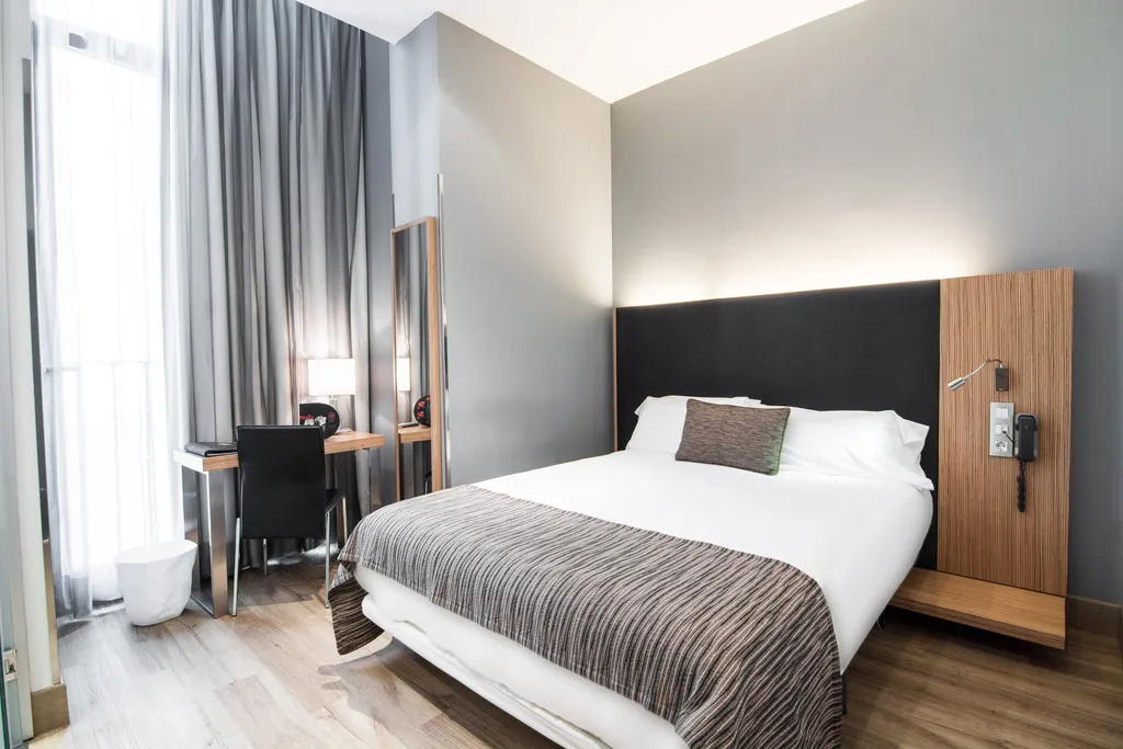 DOUBLE STANDARD Room, Petit Palace Plaza del Carmen, Madrid
